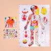 Colorful anatomical body poster with stickers and illustrations for educational fun at The Wraperie. Perfect for learning about the human body in a playful, engaging way.