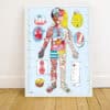 Colors and illustration of the human body on a health chart, highlighting anatomy, organs, and systems, designed for educational purposes at The Wraperie.
