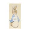Delicate illustrated bunny-shaped paper napkins with blue dress, perfect for Easter or spring celebrations.