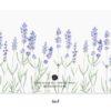 Lavender botanical illustration on eco-friendly Little Notes stationery by E. Frances Paper.