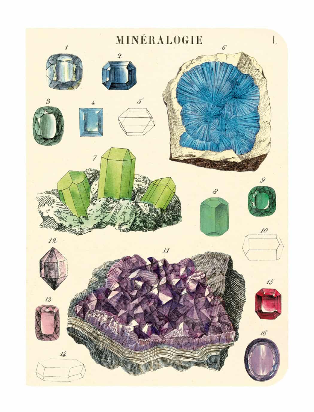 Colorful gemstone illustration with cut and uncut minerals, showcasing mineralogy and gemstone identification details. Perfect for jewelry, gemology, and mineral enthusiast websites.