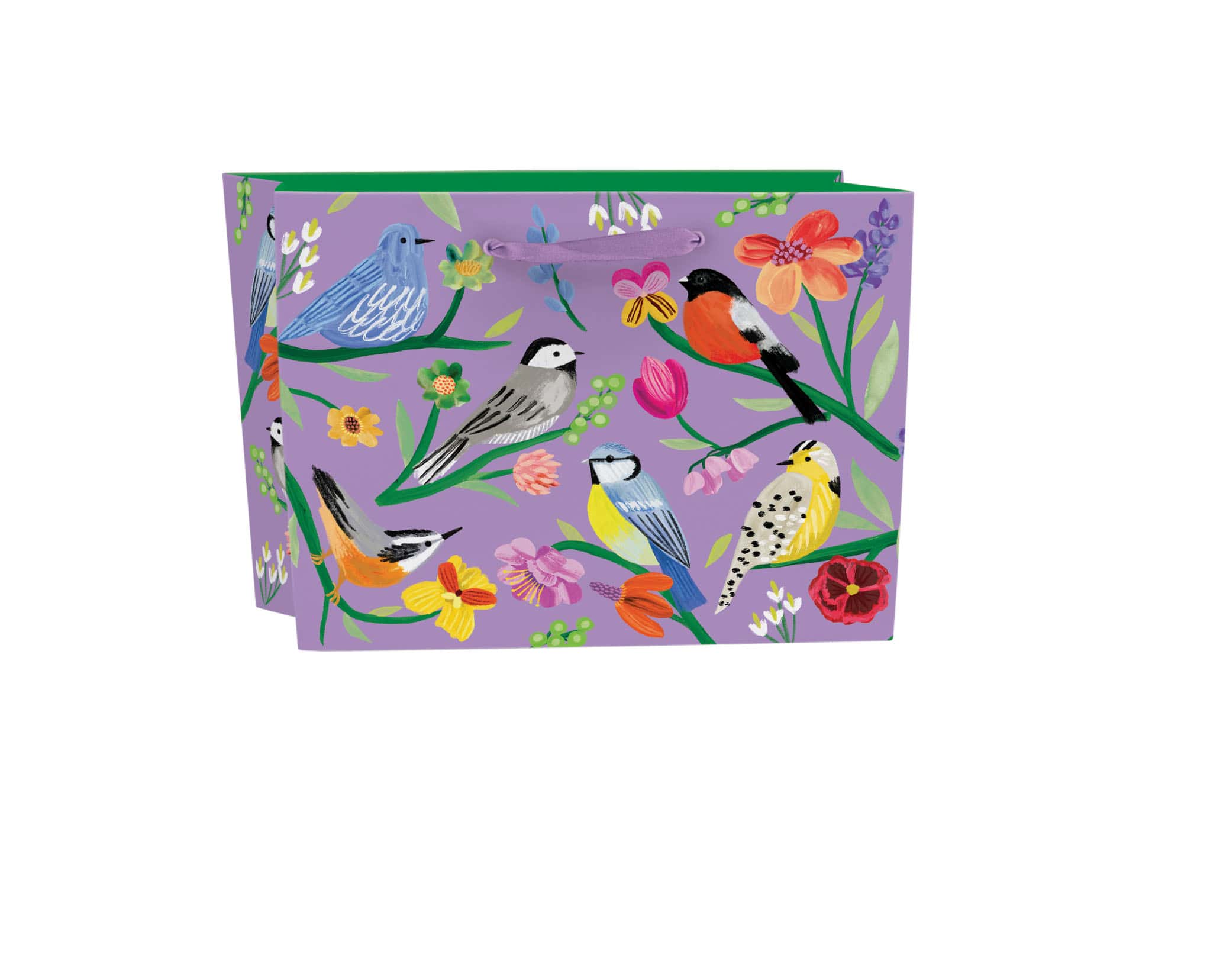Colorful bird-themed gift bag featuring various illustrated songbirds and vibrant floral accents, perfect for celebrations or gifting occasions.