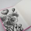 Coloring book page featuring detailed black-and-white botanical illustrations of poppy flowers and seed pods, perfect for relaxing adult coloring and artwork at The Wraperie.