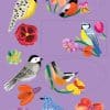 Bright colorful spring bird illustrations and floral designs for The Wraperie, emphasizing vibrant avian and floral motifs perfect for wrap or product branding.
