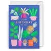 Bright, colorful birthday card with tropical plant illustrations and gold foil accents, perfect for celebrating birthdays with a vibrant, botanical theme.