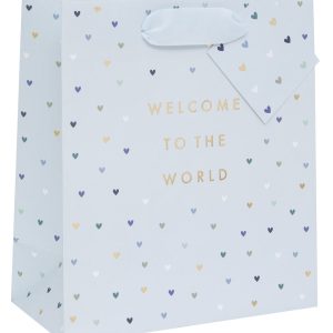Colorful gift bag with "Welcome to the World" message and heart pattern, perfect for baby showers and welcoming new babies.