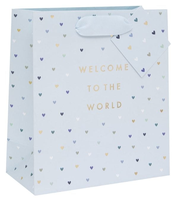 Colorful gift bag with "Welcome to the World" message and heart pattern, perfect for baby showers and welcoming new babies.