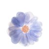 Delicate watercolor blue flower with pink and yellow center, designed for wrapping or decorative purposes at The Wraperie.