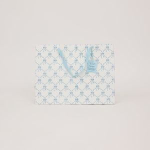 Alaska blue bows large block printed gift bag