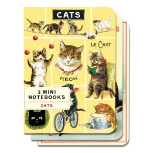 Cats 3 mini notebooks