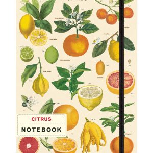 Citrus notebook large with elastic closure