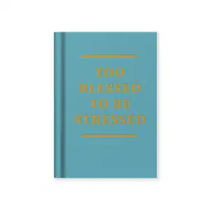 Too Blessed to be Stressed mini notebook