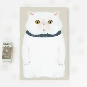 Scratch pad