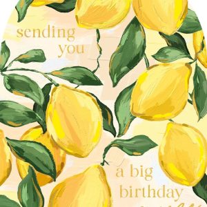 Sundaze lemon squeeze birthday card